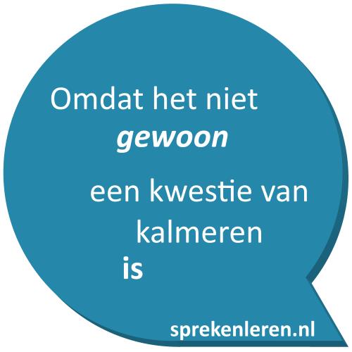 Presenteren zonder zenuwen kun je leren.